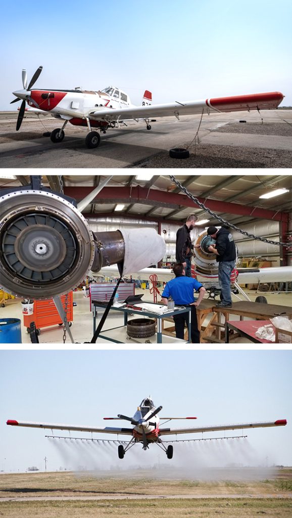 img login banner provincial airways