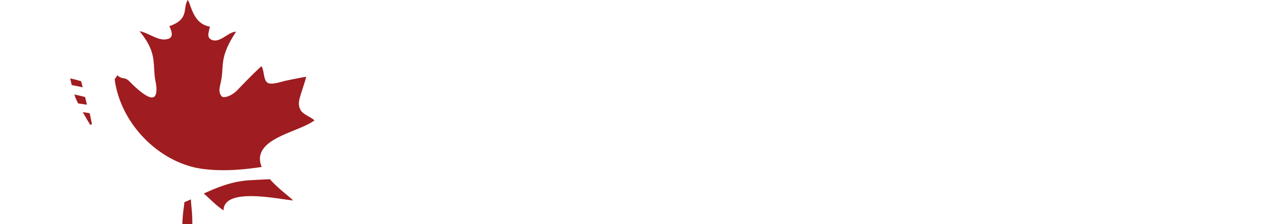 logo alpine lakes air